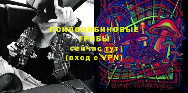 твердый Струнино