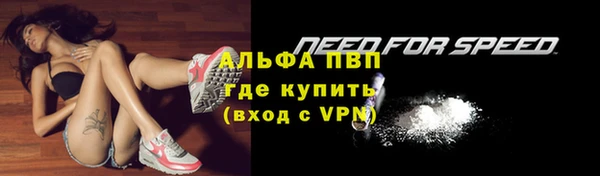 крисы Строитель
