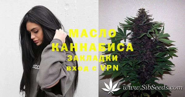 крисы Строитель