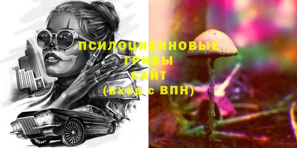 твердый Струнино