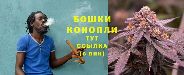 крисы Строитель
