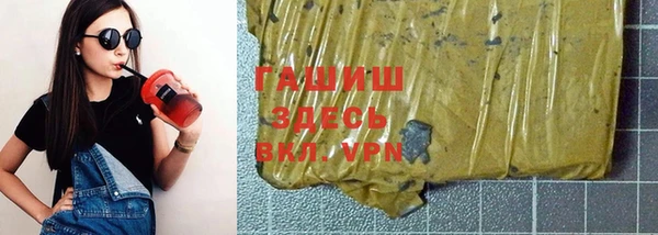 индика Тайга