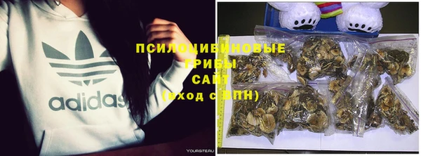 ALPHA-PVP Сясьстрой