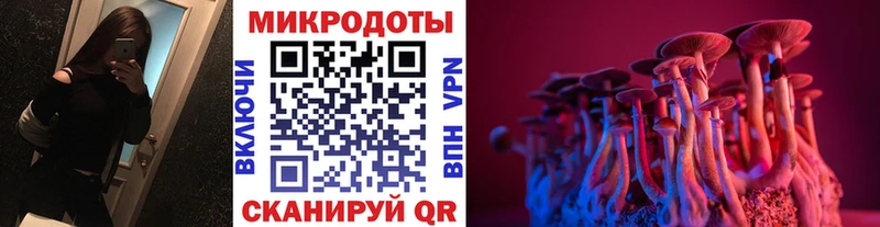 Псилоцибиновые грибы Psilocybine cubensis блэк спрут как зайти Уссурийск сколько стоит
