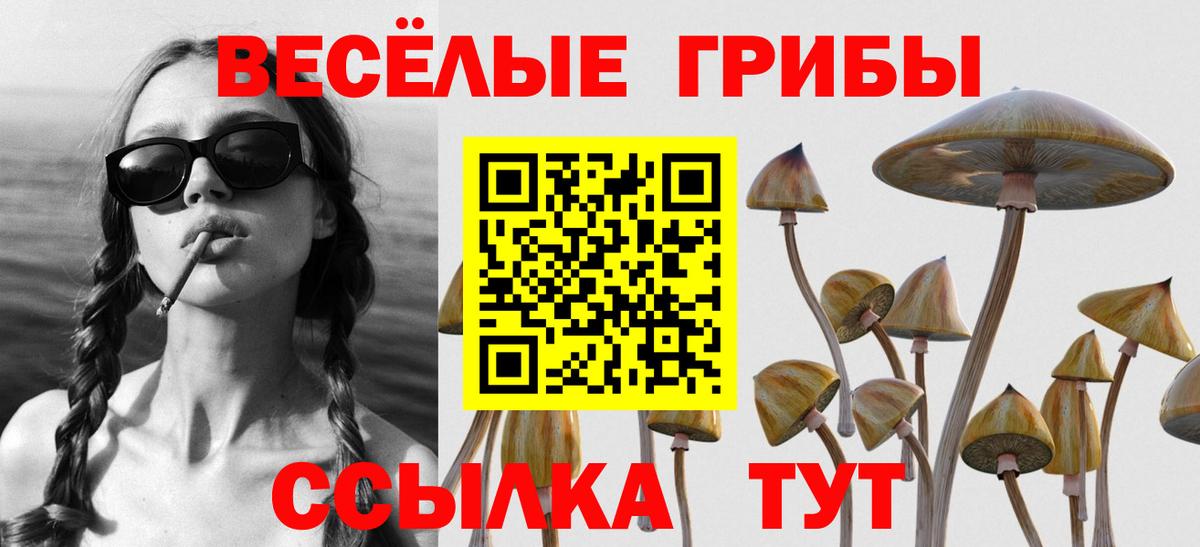 Галлюциногенные грибы Psilocybine cubensis Уссурийск